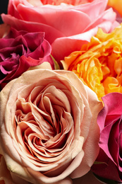 Photo of Beautiful fresh roses as background, closeup view. Floral decor