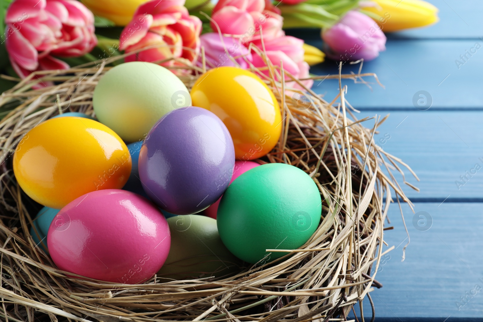 Photo of Bright painted eggs and spring tulips on blue wooden table, closeup. Happy Easter