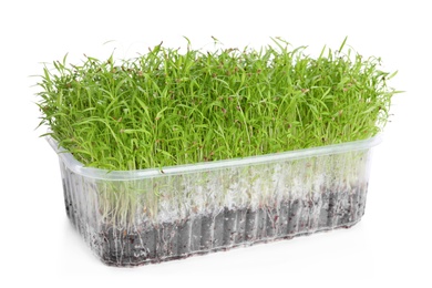 Fresh organic microgreen in plastic container on white background