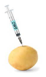 Image of Syringe with label GMO in potato on white background