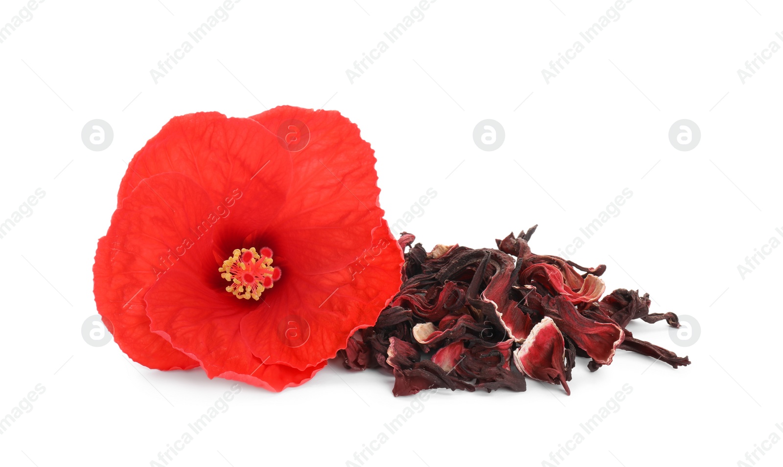 Photo of Pile of dry hibiscus tea and beautiful flower isolated on white