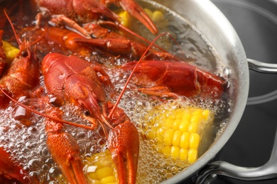 Photo of Fresh delicious crayfishes in boiling water on stove, closeup