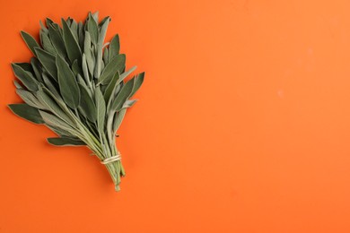 Photo of Bunch of fresh sage on orange background, top view. Space for text
