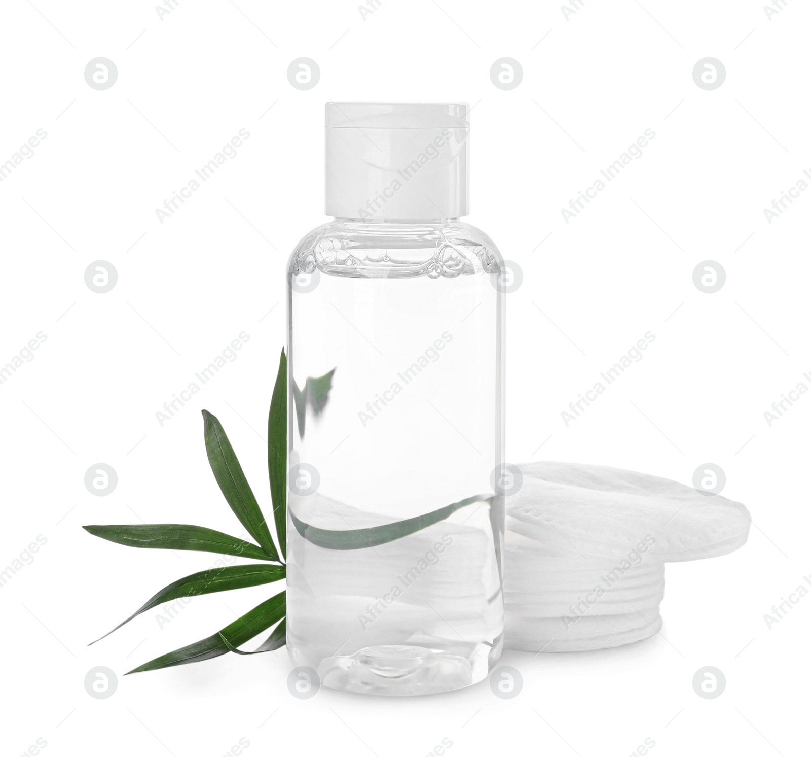 Photo of Bottle of micellar cleansing water, cotton pads and green twig on white background