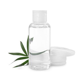 Photo of Bottle of micellar cleansing water, cotton pads and green twig on white background