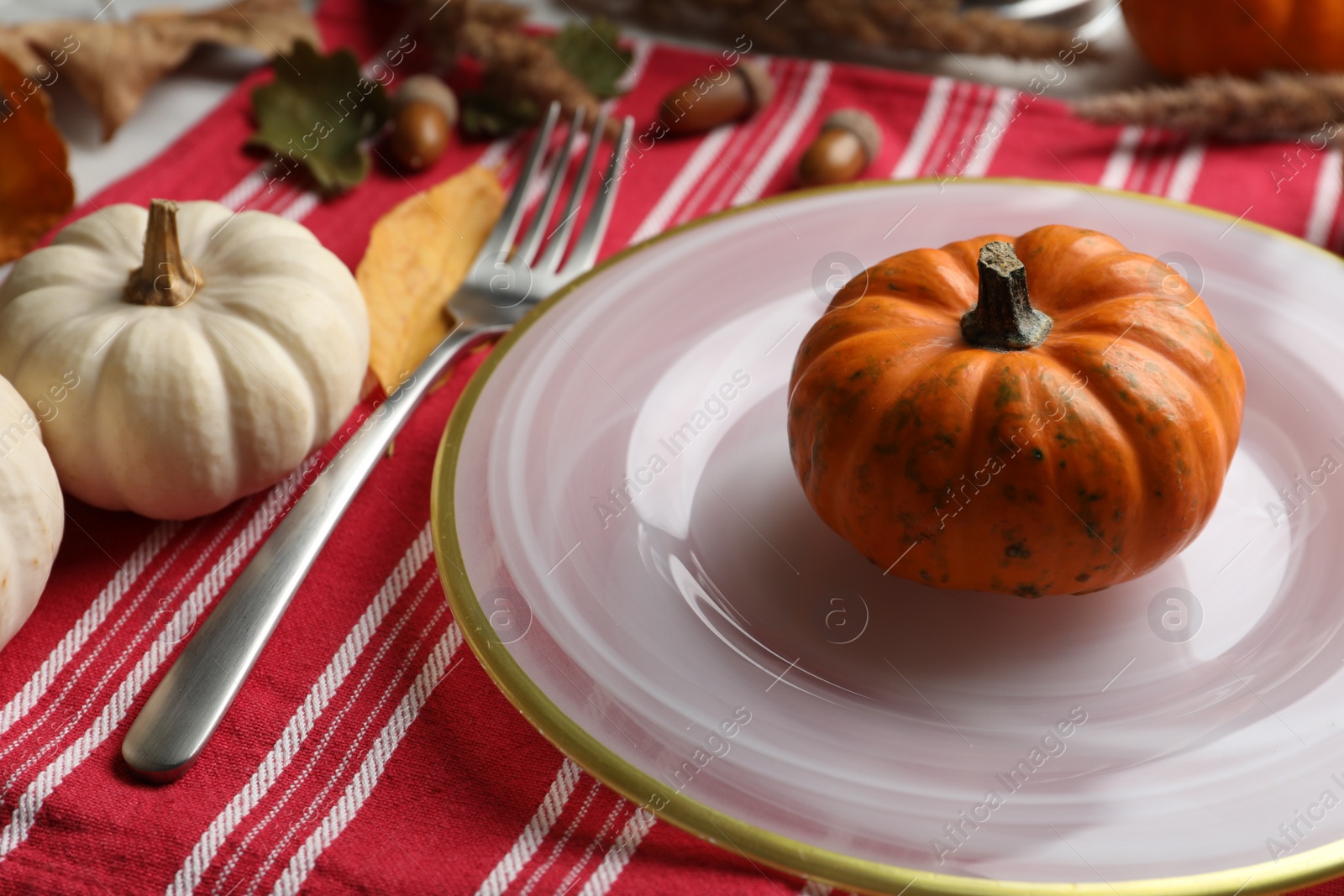 Photo of Autumn table setting with pumpkins on red striped fabric, closeup