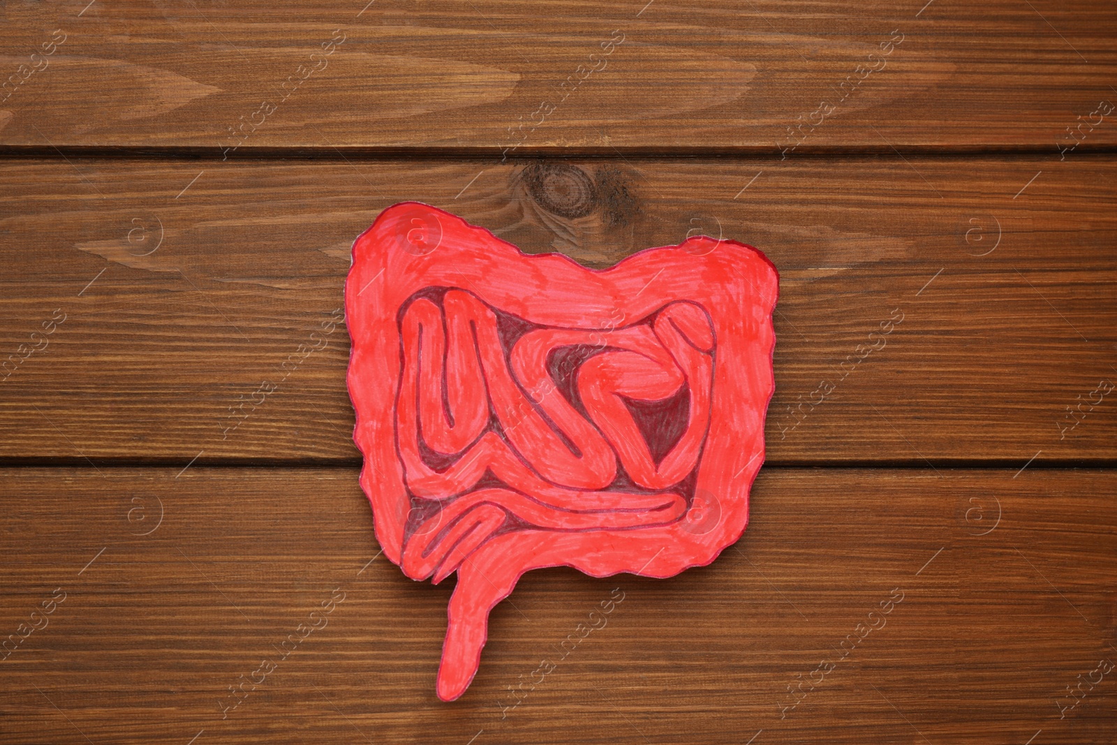 Photo of Paper cutout of small intestine on wooden background, top view