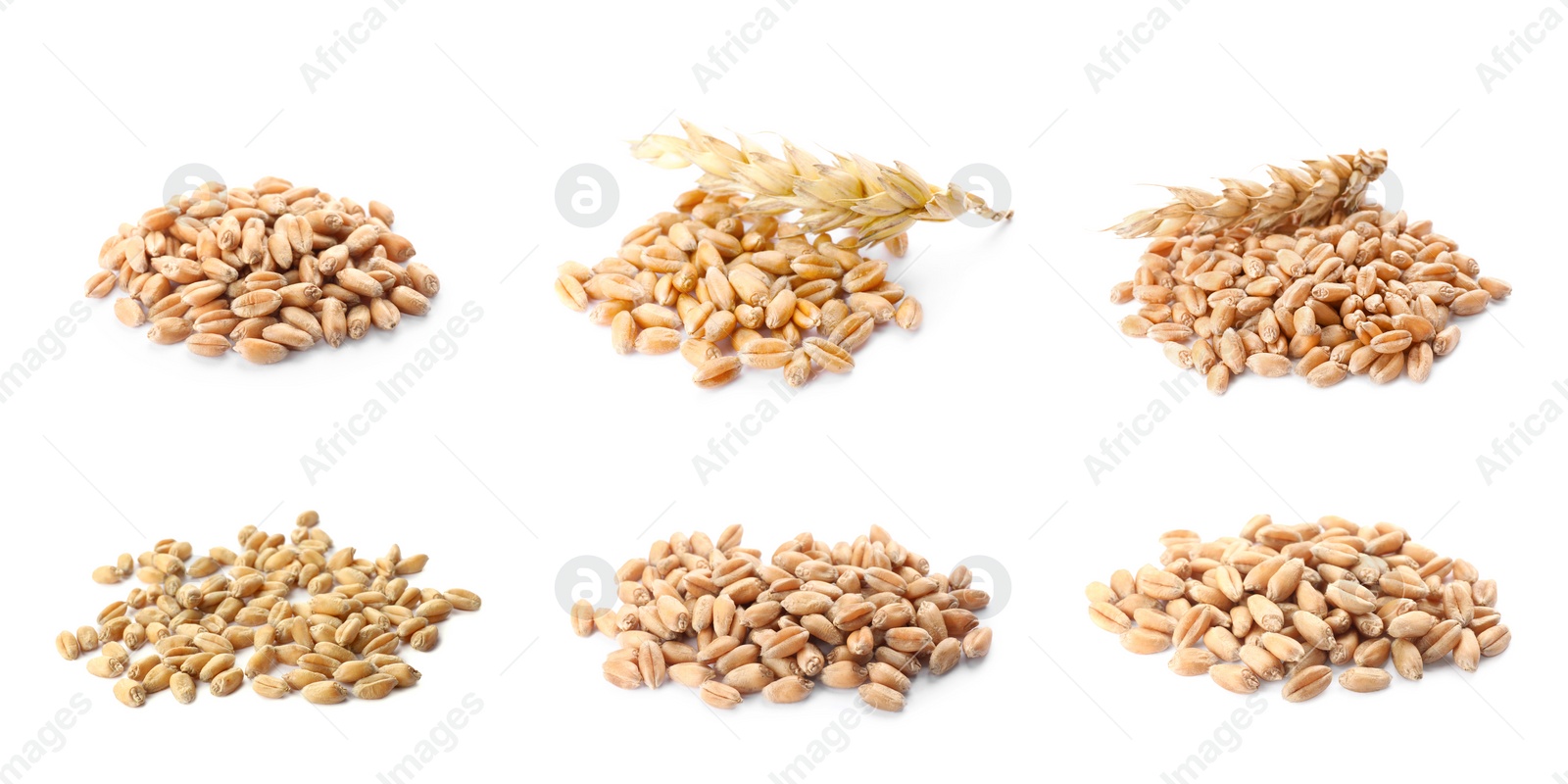 Image of Set with heaps of wheat grains on white background. Banner design