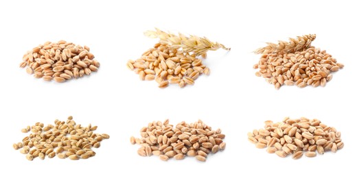 Image of Set with heapswheat grains on white background. Banner design