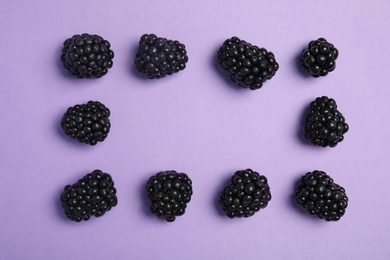 Flat lay composition with ripe blackberries on color background