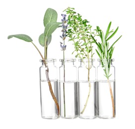 Photo of Bottles with essential oils and plants isolated on white