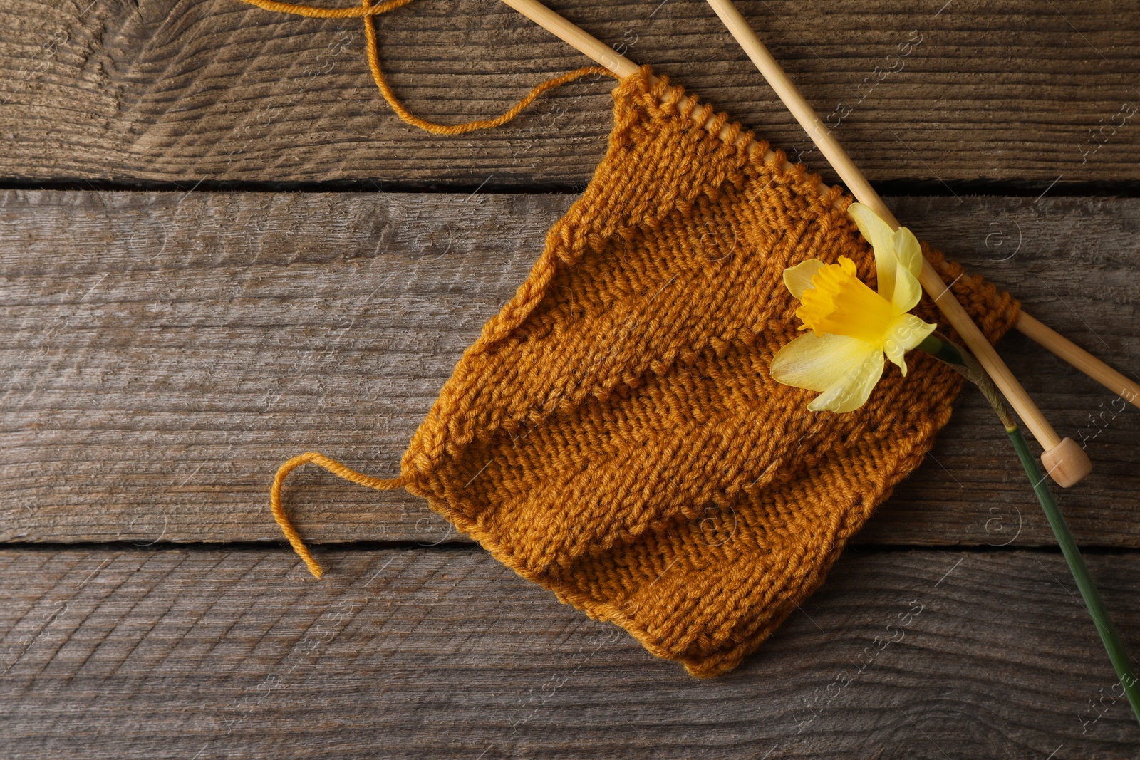 Photo of Soft orange knitting, daffodil flower and needles on wooden table, flat lay