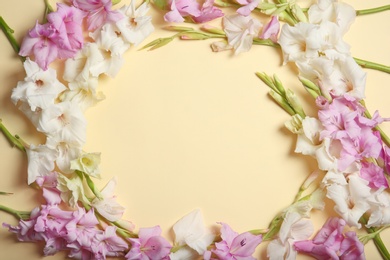 Photo of Flat lay composition with beautiful gladiolus flowers on color background