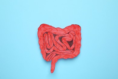 Paper cutout of small intestine on light blue background, top view
