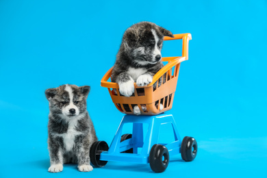 Photo of Cute Akita inu puppies and toy shopping cart on light blue background. Lovely dogs