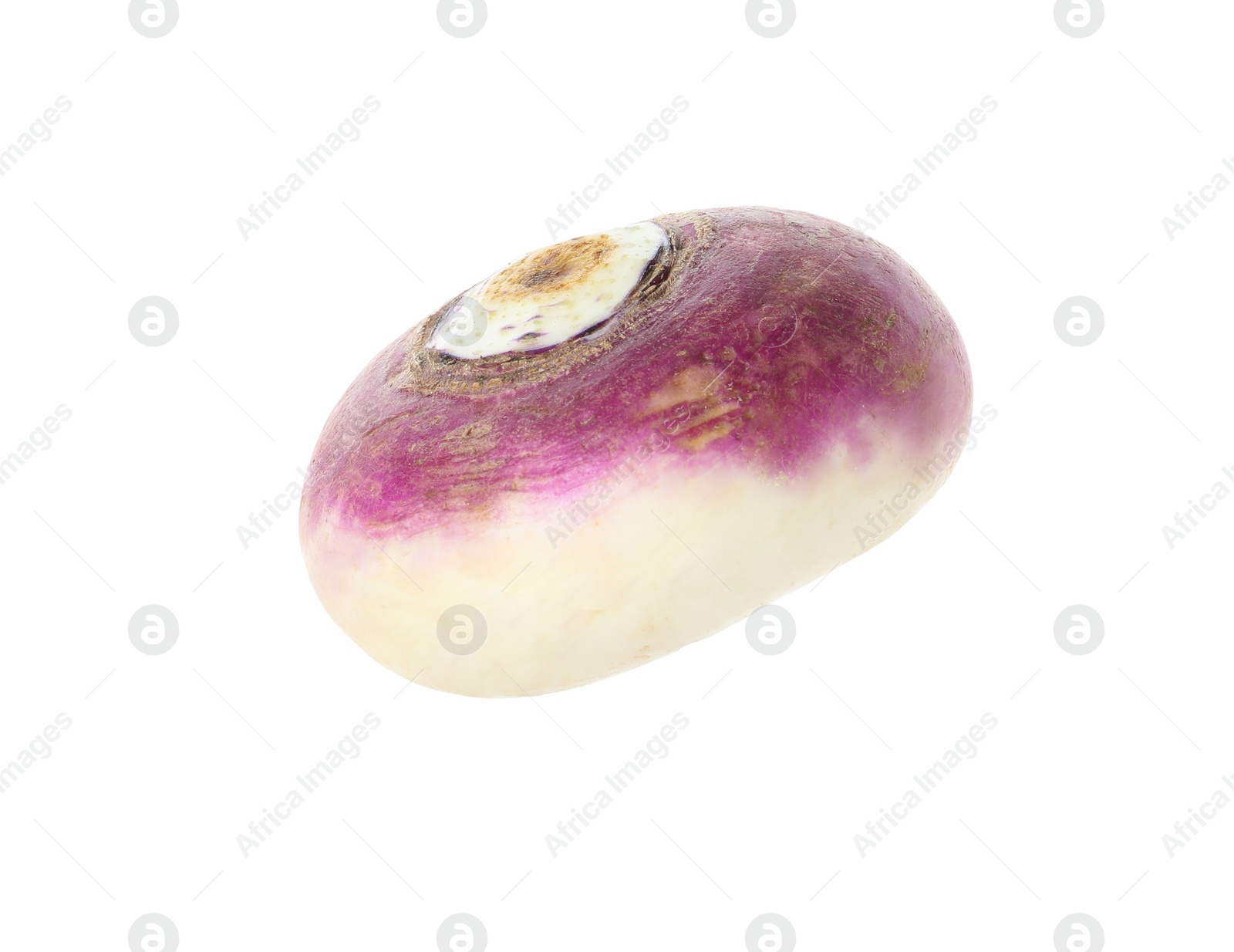 Photo of Whole fresh ripe turnip on white background