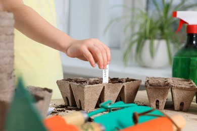 Photo of Little girl inserting card with name of vegetable seeds into peat pots indoors, closeup