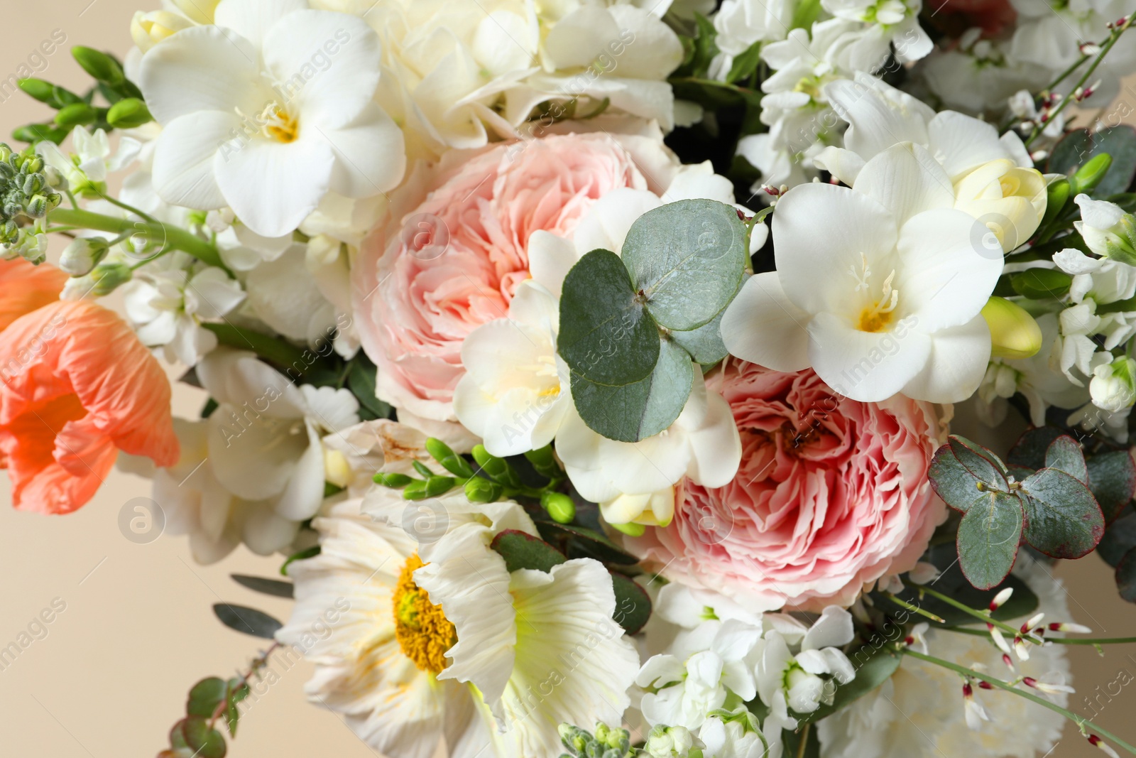 Photo of Bouquet of beautiful flowers on beige background, closeup