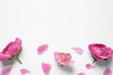 Photo of Beautiful peony flowers on white background, top view