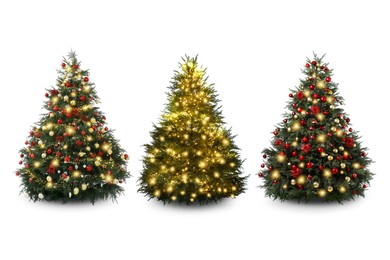 Image of Christmas trees decorated with ornaments and festive lights isolated on white, set