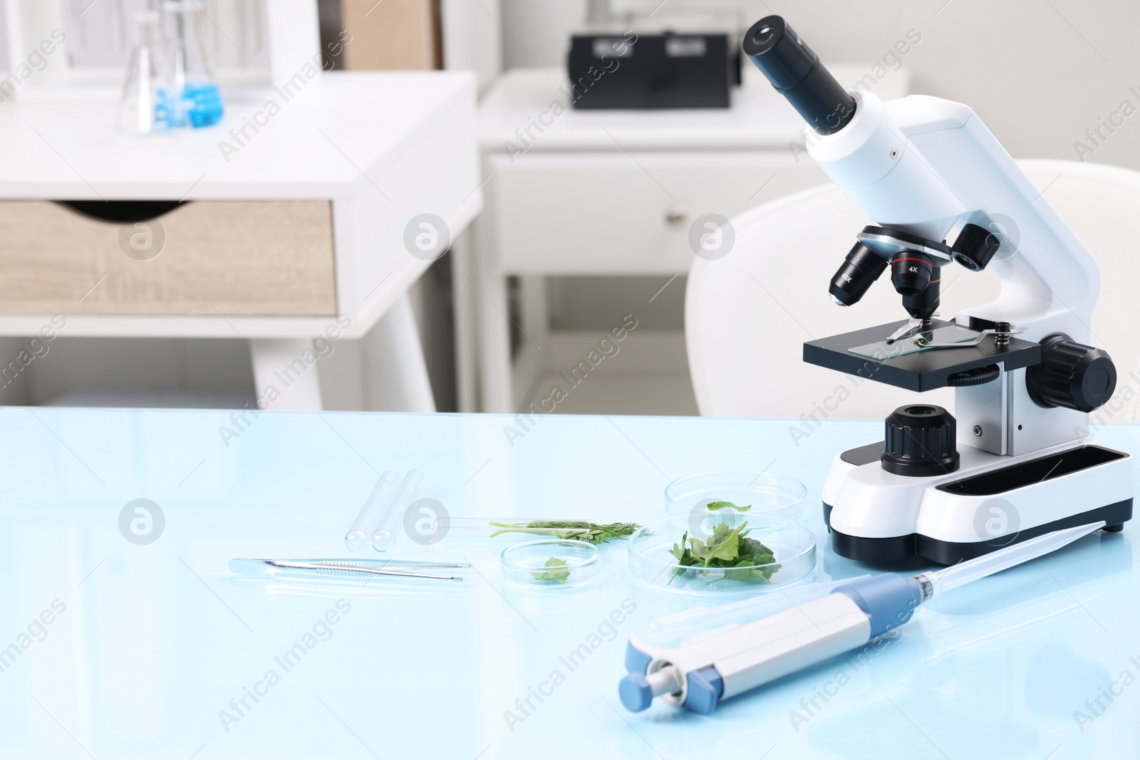 Photo of Food quality control. Microscope, petri dishes with herbs and other laboratory equipment on light blue table