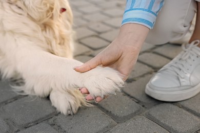 Woman holding dog's paw on city street, closeup