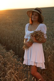 Beautiful young woman with bunch of wheat ears in field on sunny day