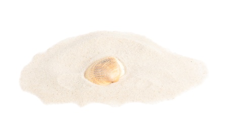 Pile of beach sand with sea shell on white background