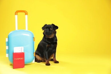 Photo of Adorable black Petit Brabancon dog with ticket and passport near suitcase on yellow background, space for text