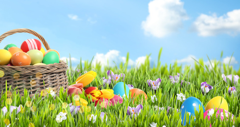 Image of Wicker basket with Easter eggs in green grass against blue sky, space for text. Banner design