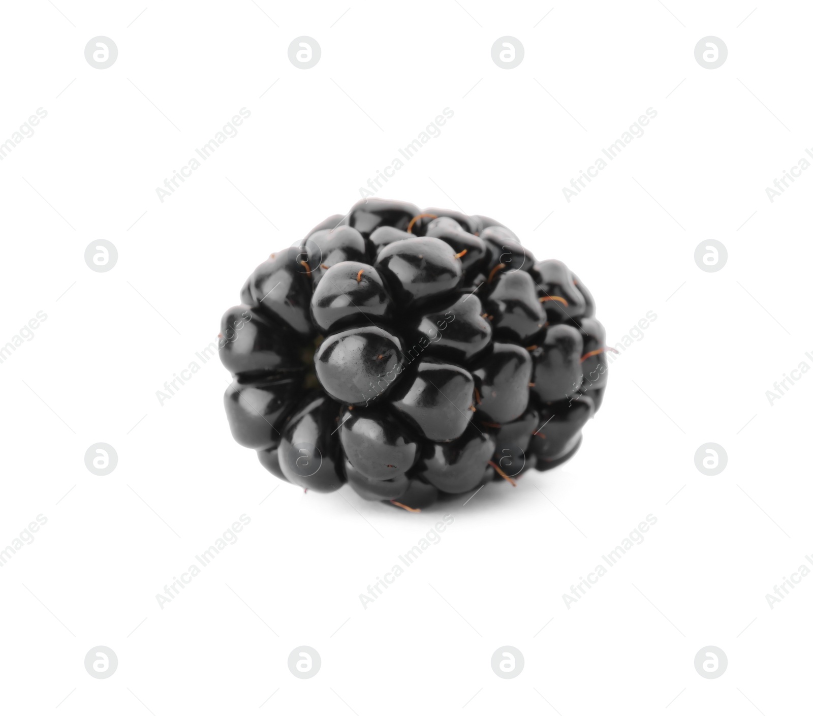 Photo of One tasty ripe blackberry isolated on white