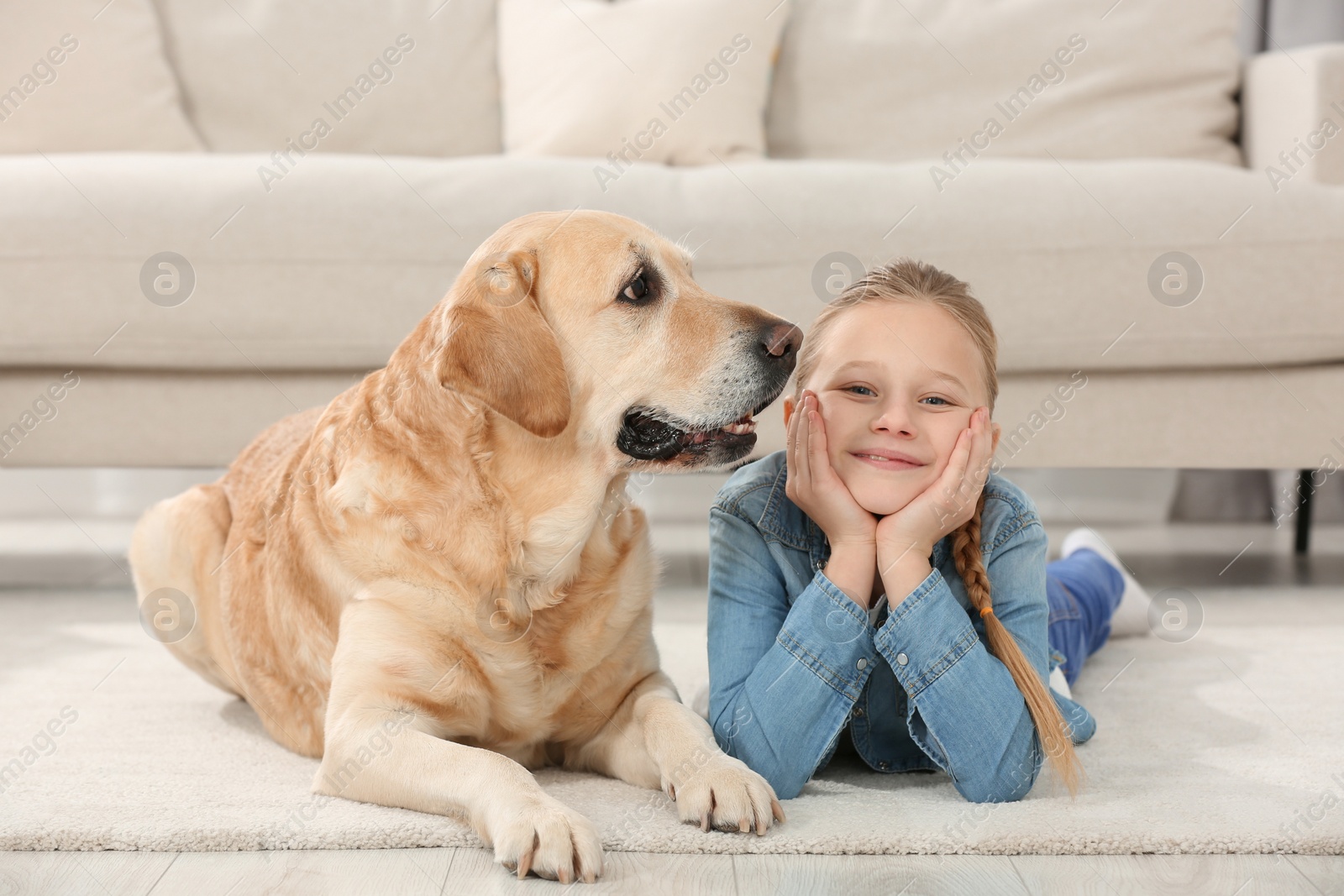 Photo of Cute child with her Labrador Retriever on floor at home. Adorable pet