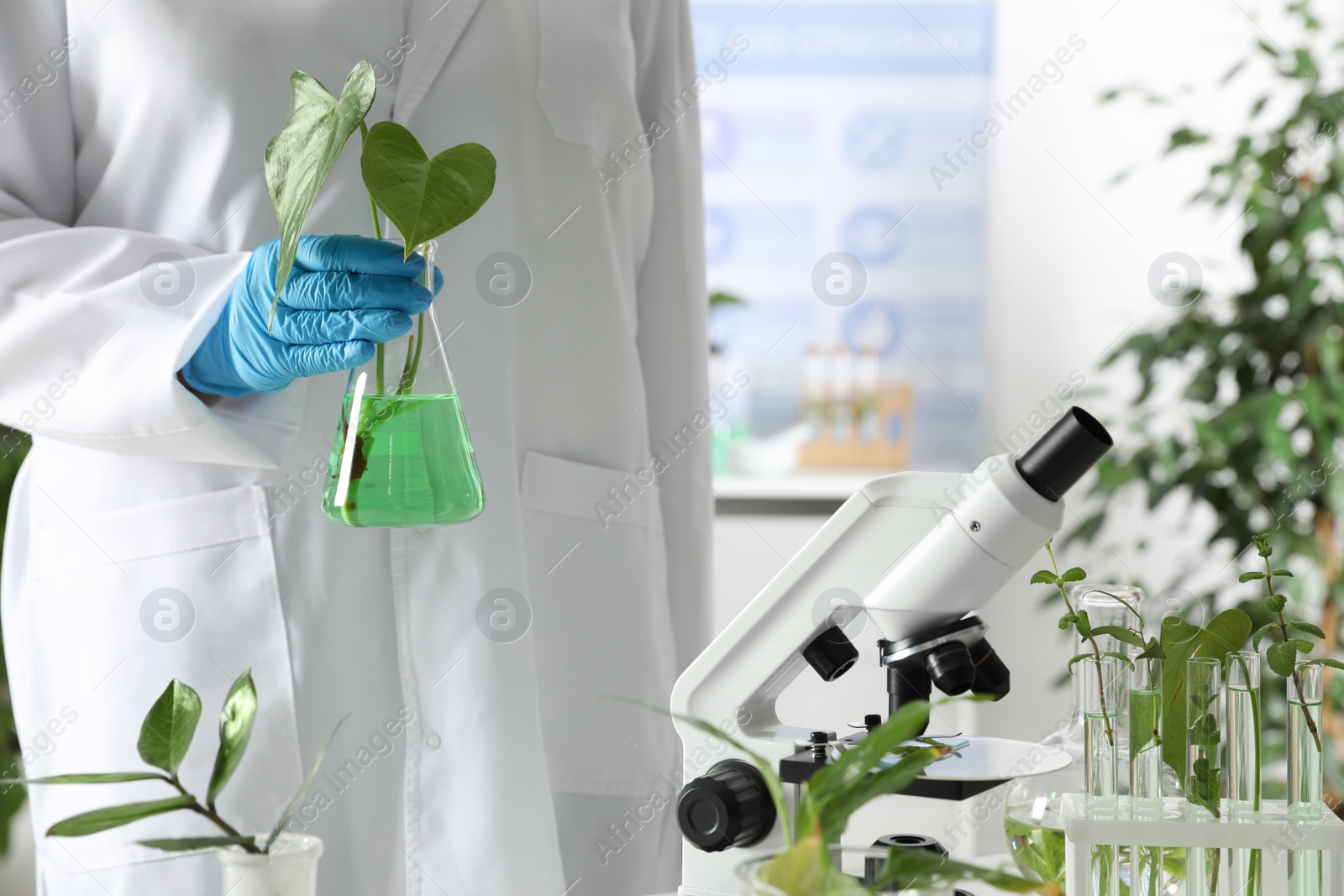 Photo of Lab assistant holding flask with plant indoors, space for text. Biological chemistry