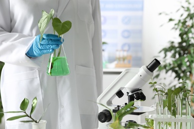 Photo of Lab assistant holding flask with plant indoors, space for text. Biological chemistry