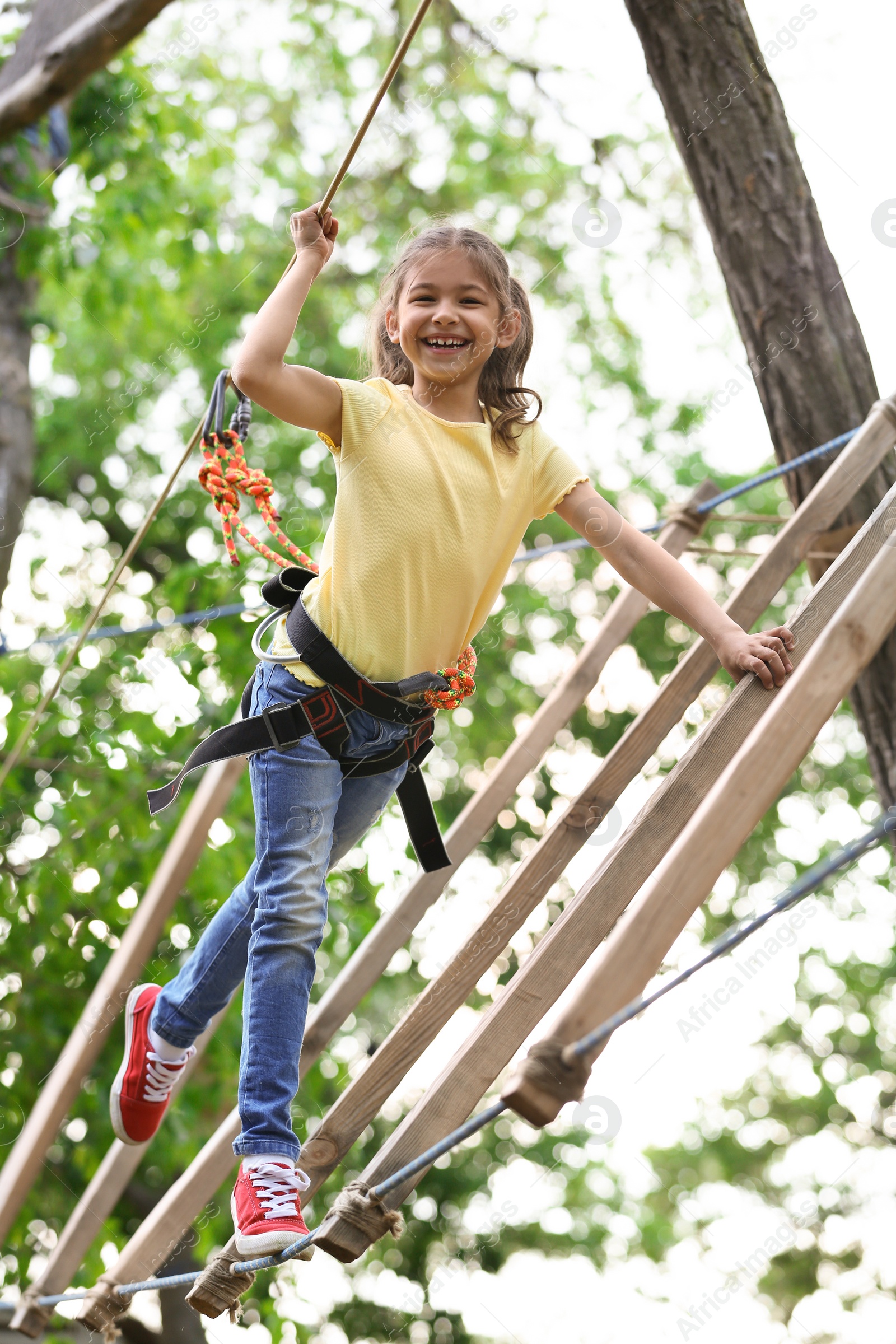 Photo of Little girl climbing in adventure park. Summer camp