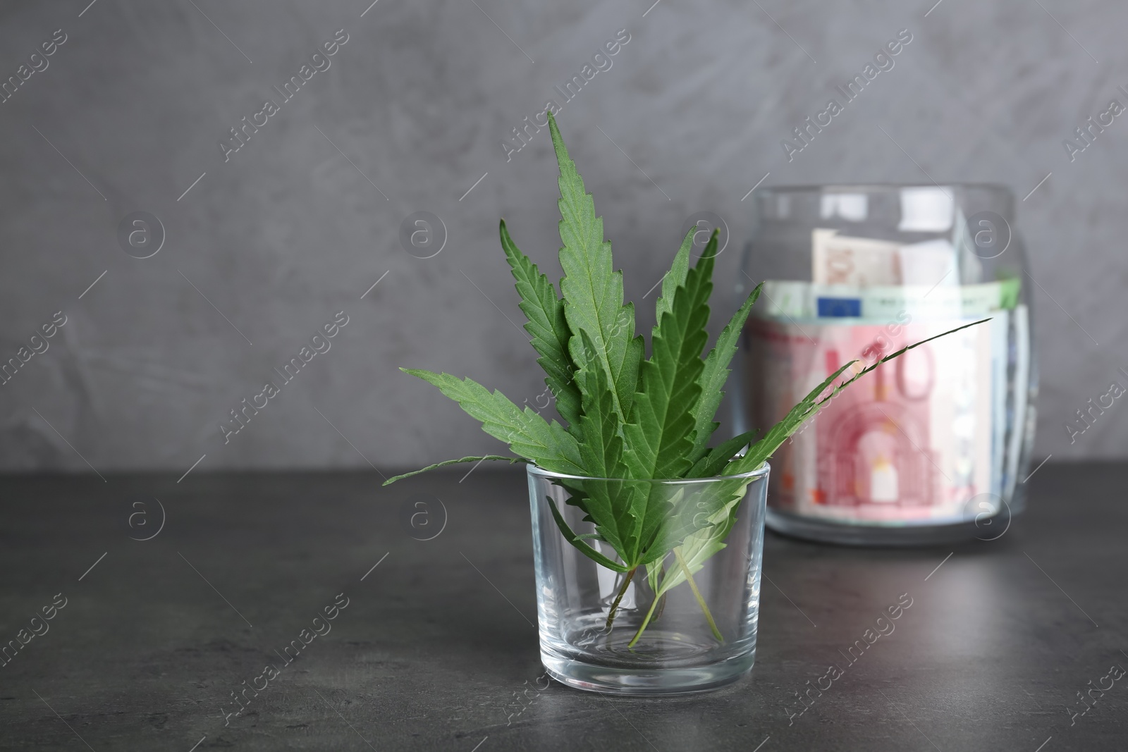 Photo of Hemp leaves in glass and jar with money on table