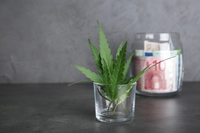 Hemp leaves in glass and jar with money on table