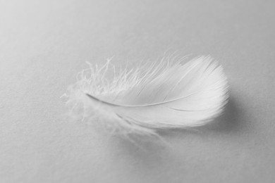 Photo of Fluffy bird feather on white background, closeup