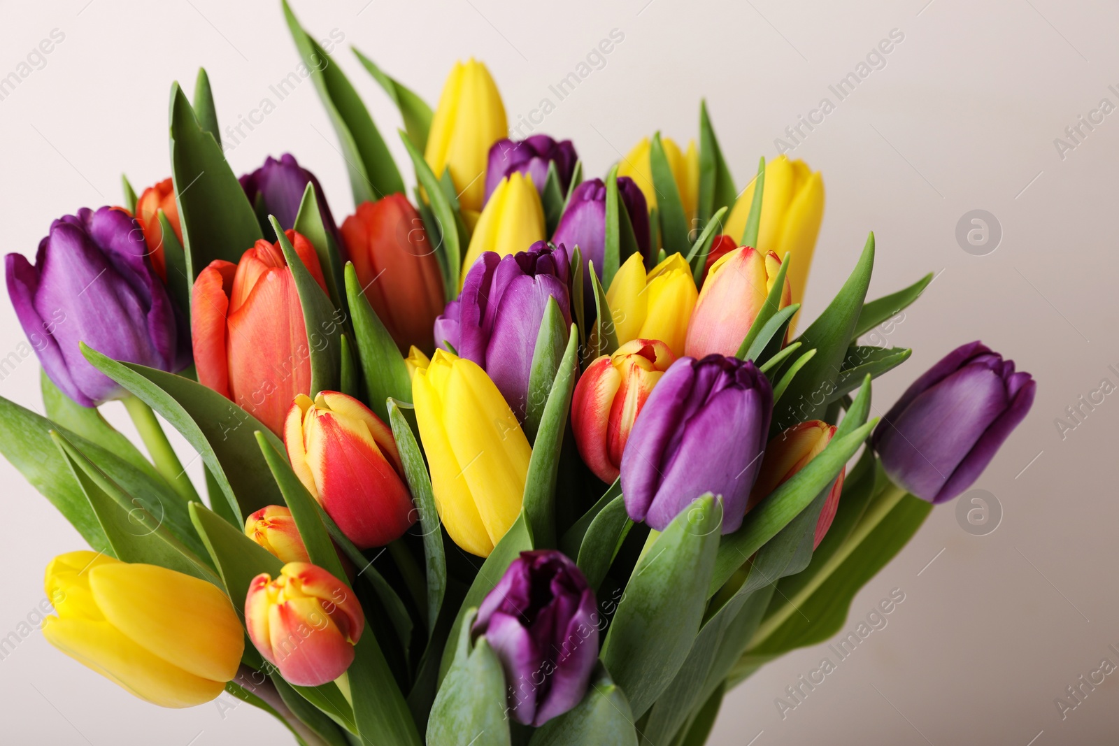 Photo of Bouquet of colorful tulips on white background, closeup
