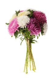 Photo of Bouquet of beautiful asters isolated on white.  Autumn flowers