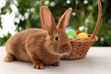 Photo of Cute bunny and basket with Easter eggs on table against blurred background