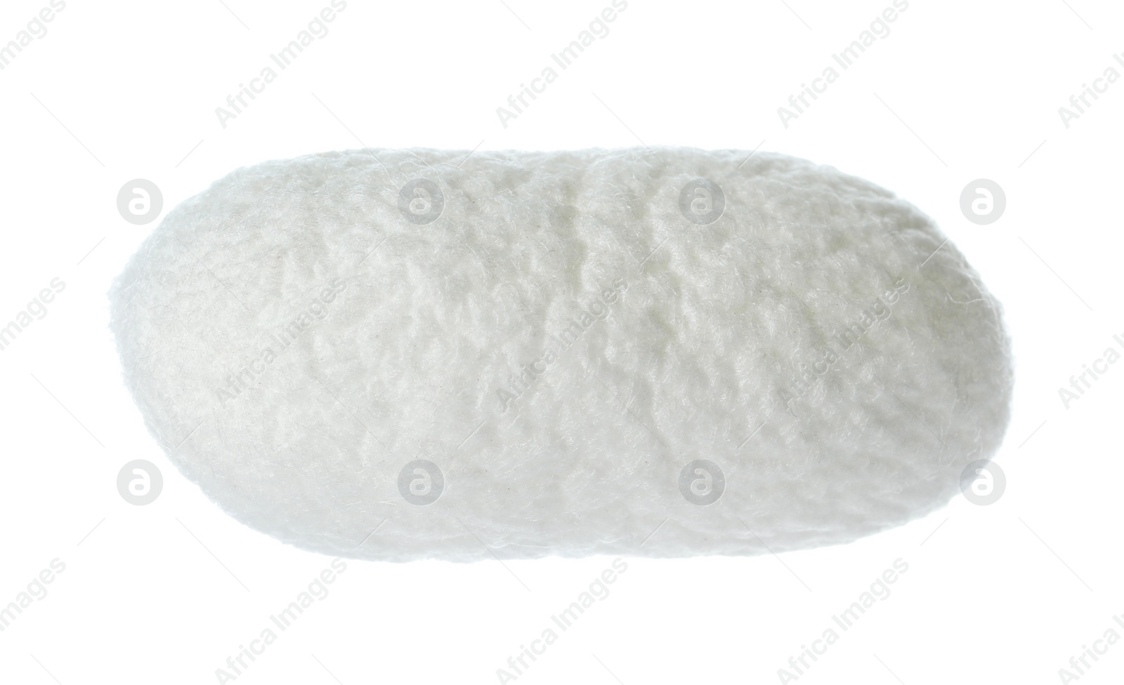 Photo of Beautiful natural silkworm cocoon isolated on white