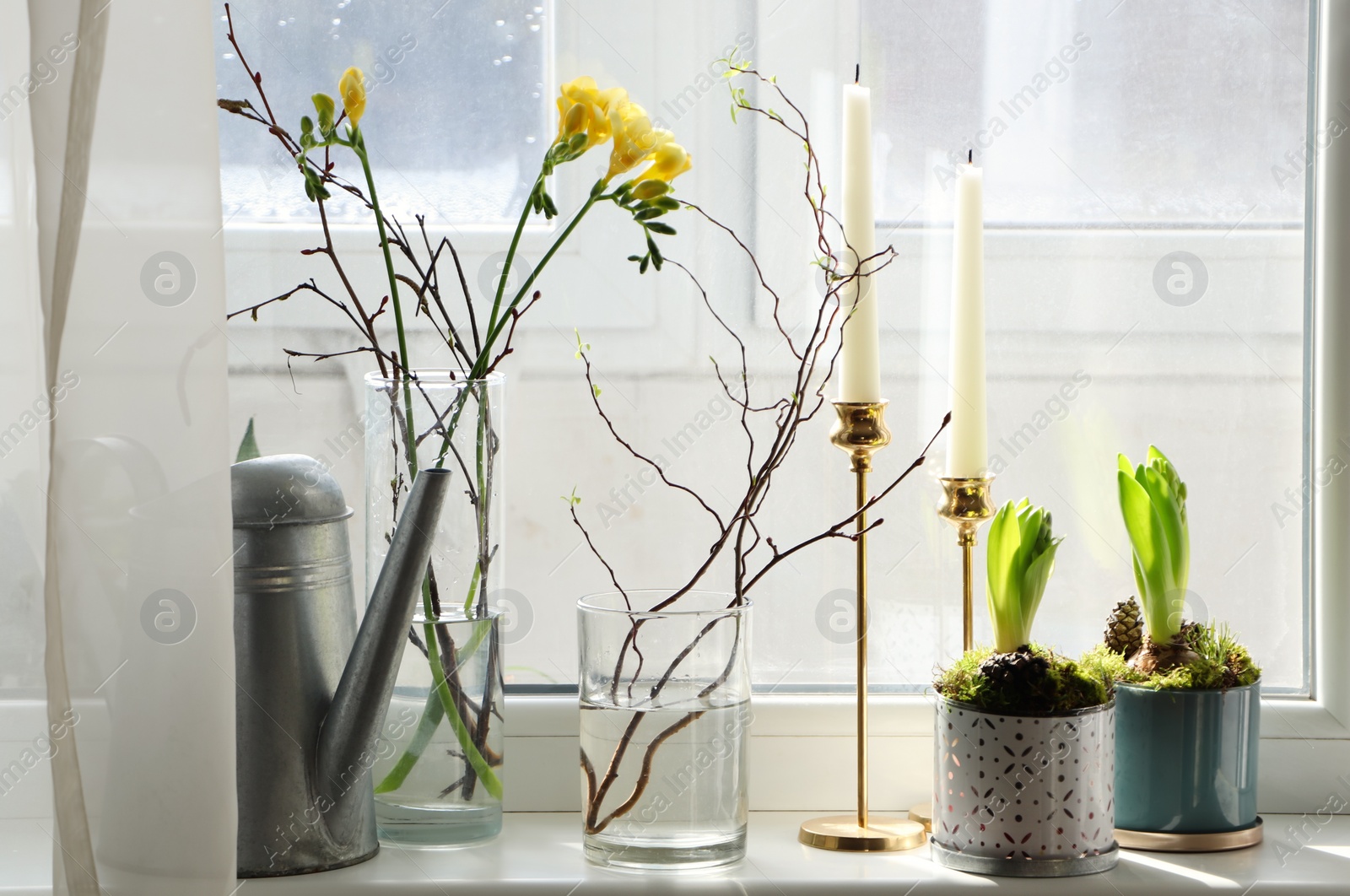 Photo of Potted hyacinths and freesias on window sill indoors. First spring flowers