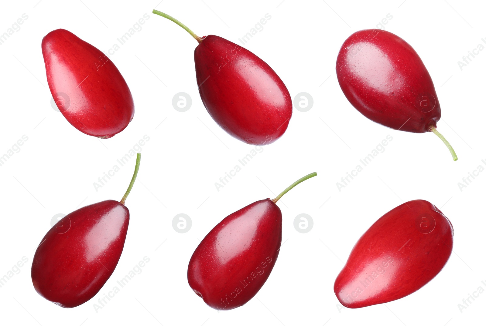 Image of Set of ripe red dogwood berries on white background