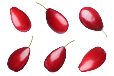 Set of ripe red dogwood berries on white background