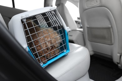 Photo of Cute dog in pet carrier travelling by car. Space for text