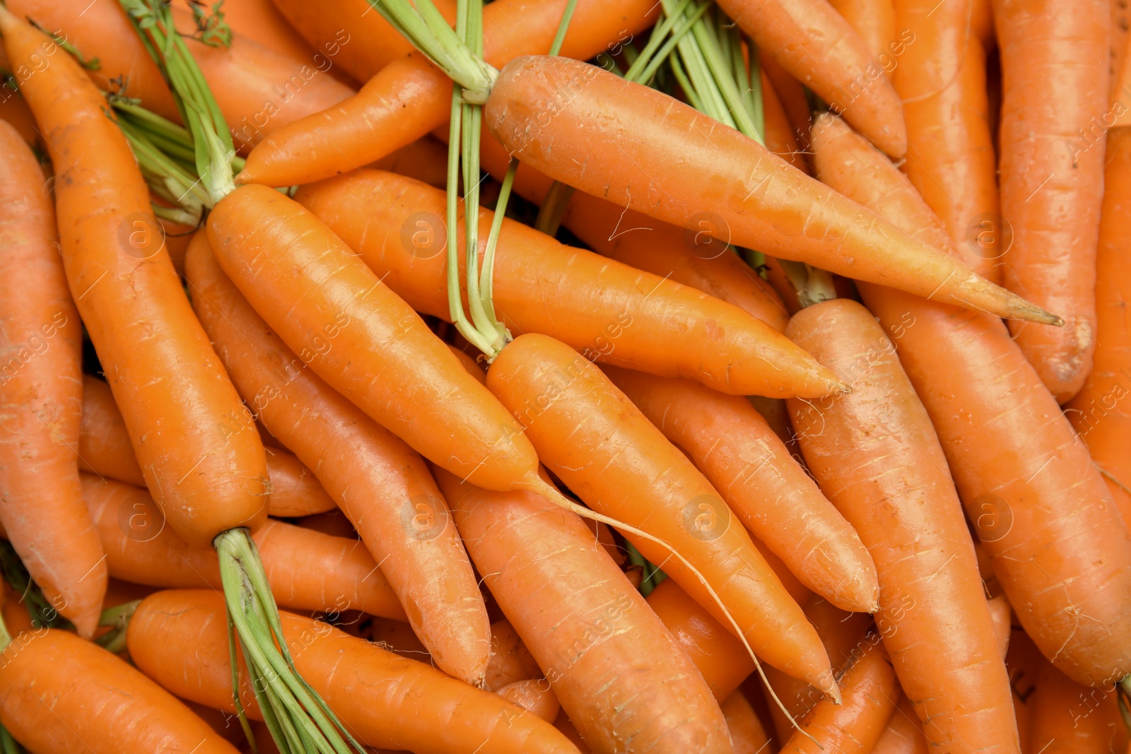 Photo of Ripe carrots as background, top view. Healthy diet