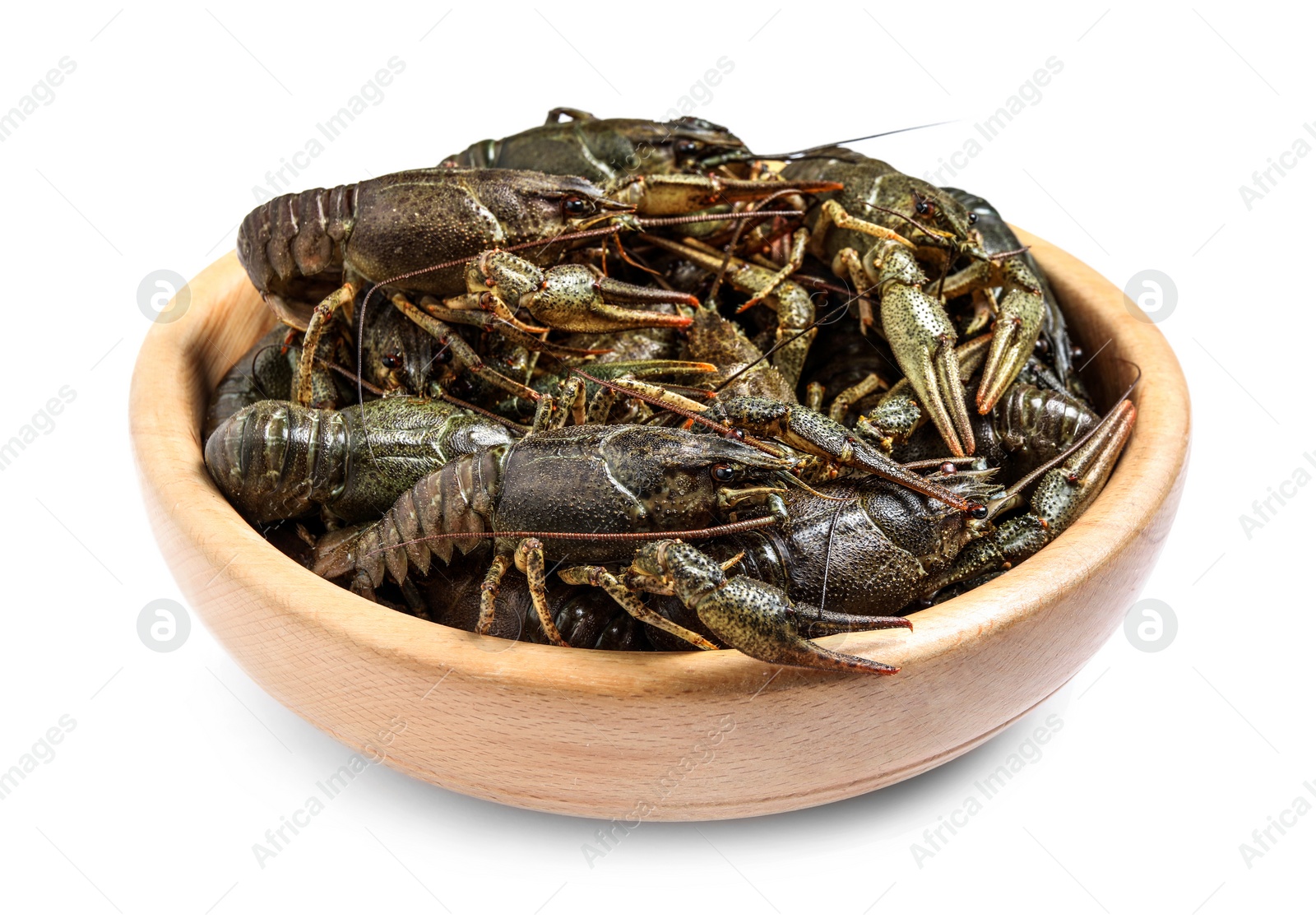 Photo of Bowl with fresh raw crayfishes isolated on white. Healthy seafood