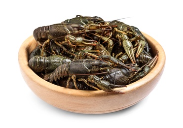 Photo of Bowl with fresh raw crayfishes isolated on white. Healthy seafood