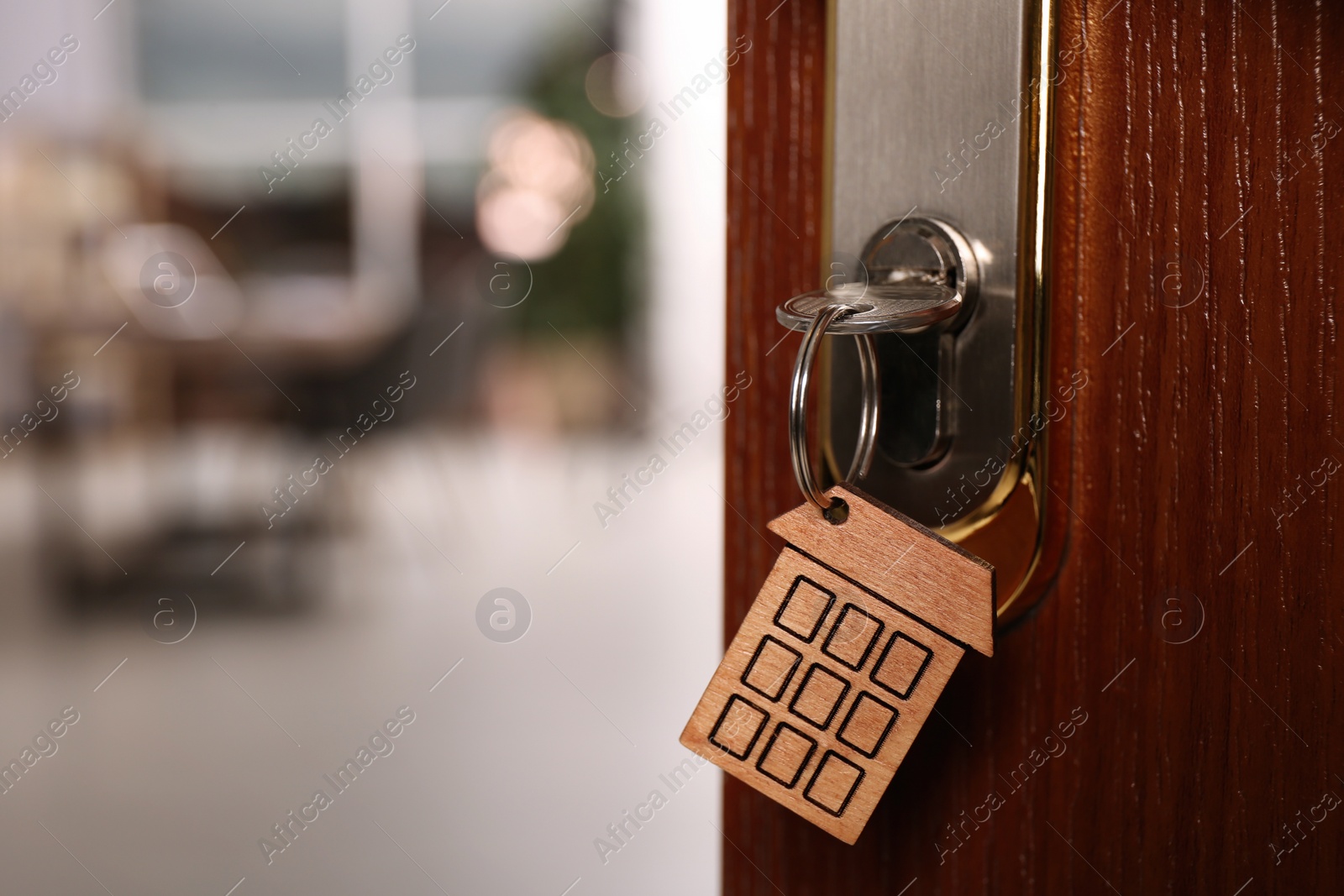Photo of Closeup view of door with key open into room. Space for text
